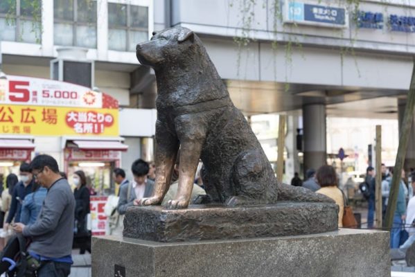 statue hachiko le chien fidèle